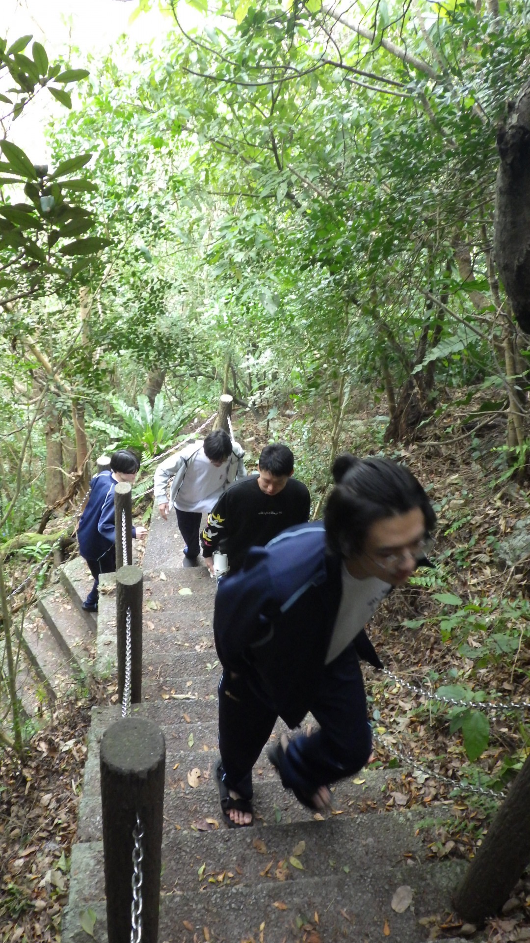 Image - 2026-02-11T161039.195